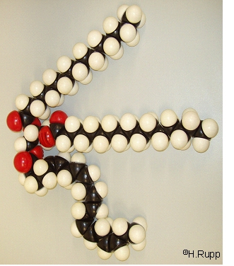 Triacylglycerol from fish